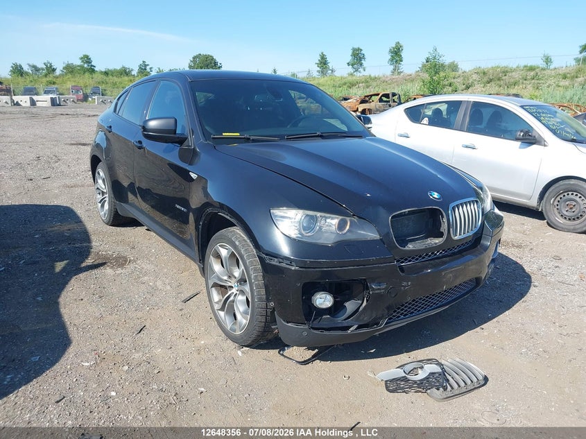 Vin: 5uxfg8c57blz95291, lot: 3049865, bmw x6 xdrive50i 2011 img_1