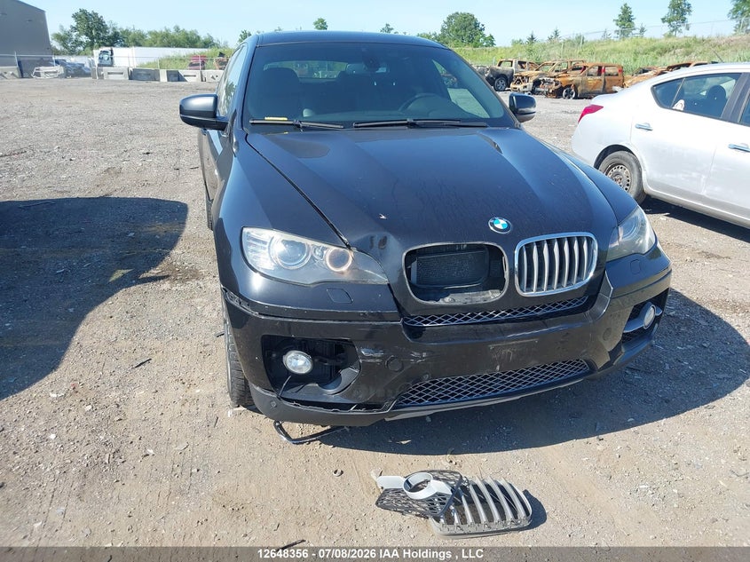 2011 BMW X6 xDrive50I VIN: 5UXFG8C57BLZ95291 Lot: 12648356