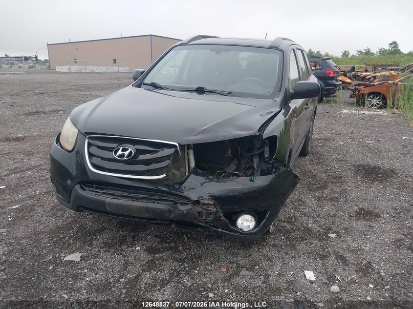 2010 Hyundai Santa Fe, Left Side, IAAI, VIN 5NMSG4AG5AH411760 — photo 2