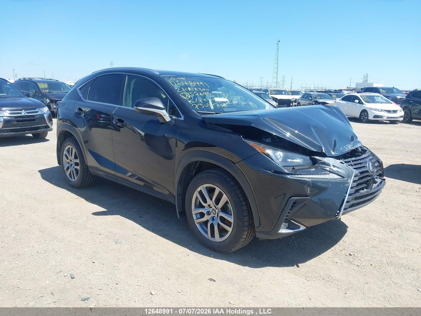 2021 Lexus Nx 300 VIN: JTJGARDZ2M2257693 Lot: 12648991