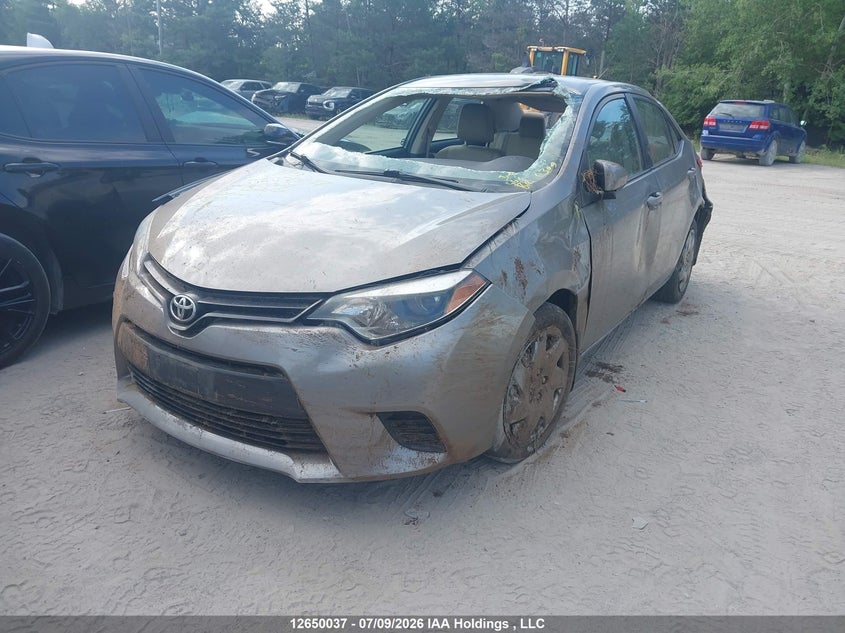 2014 Toyota Corolla, All Over, IAAI, VIN 2T1BURHE3EC211028 — photo 2