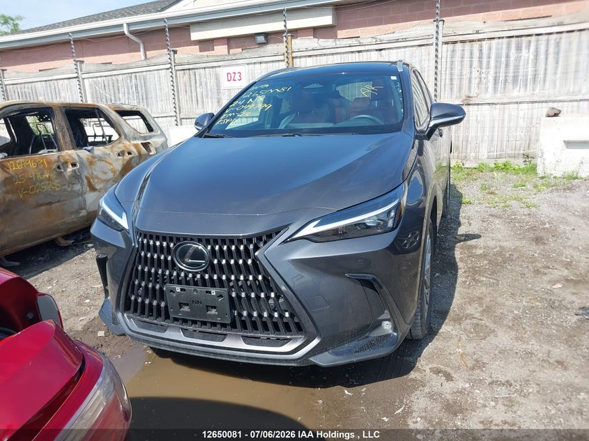 2024 Lexus Nx 350 VIN: 2T2GGCEZ6RC049799 Lot: 12650081