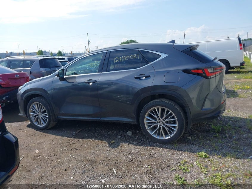 2024 Lexus Nx 350 VIN: 2T2GGCEZ6RC049799 Lot: 12650081