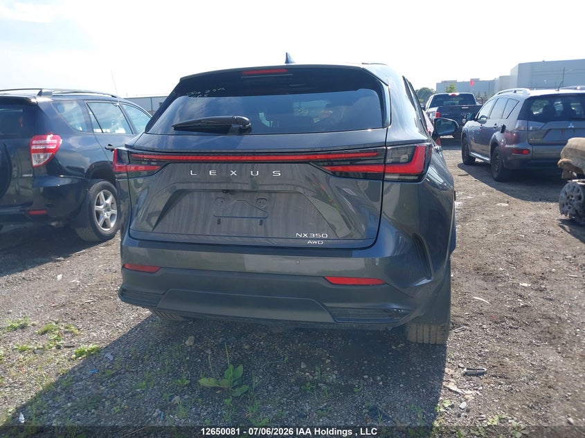 2024 Lexus Nx 350 VIN: 2T2GGCEZ6RC049799 Lot: 12650081