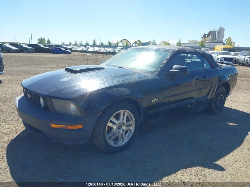 2007 Ford Mustang, Charity, IAAI, VIN 1ZVFT85H375200086 — photo 2