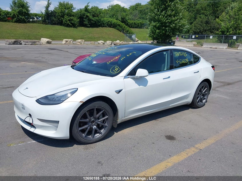 Vin: 5yj3e1eb3lf626534, lot: 3051770, tesla model 3 20202