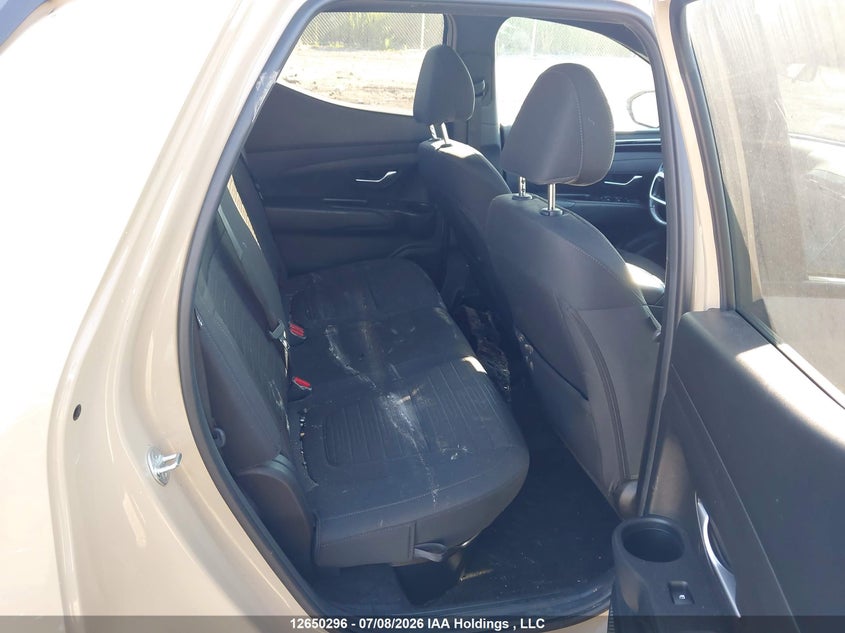 2024 Hyundai Santa Cruz Preferred VIN: 5NTJCDDF7RH102446 Lot: 12650296