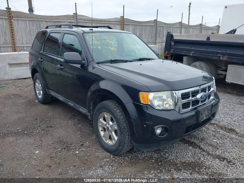 Vin: 1fmcu9dg0akb86590, lot: 3052137, ford escape xlt 2010 img_1