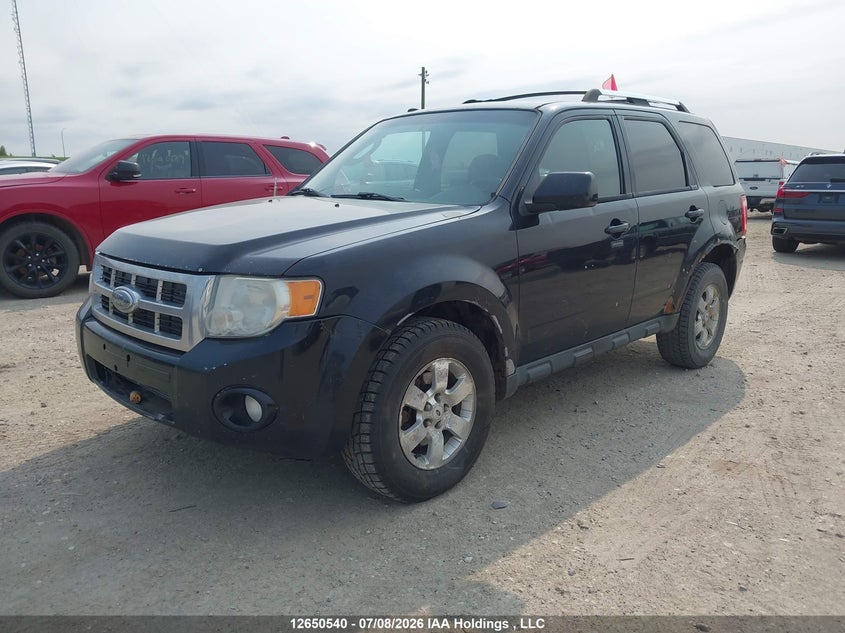 2010 Ford Escape, Удар ззаду, IAAI, VIN 1FMCU9EG1AKA06144 — фото 2