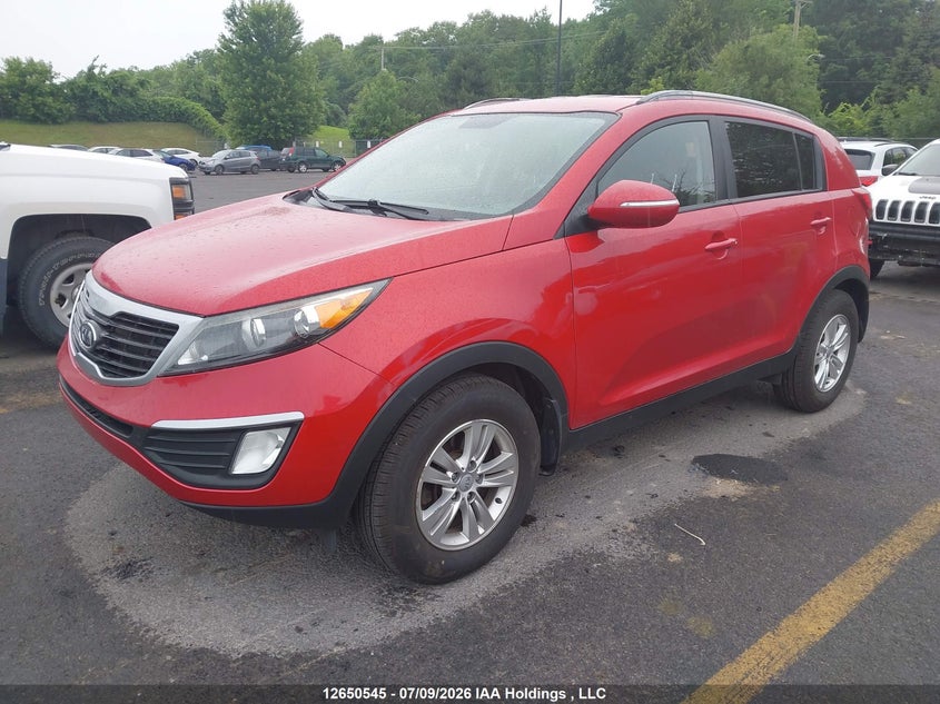 AtlanticExpress - Kia Sportage