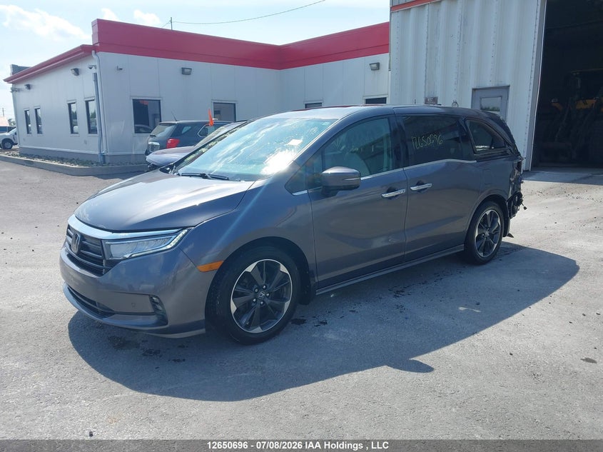 2024 Honda Odyssey Touring, Удар сзади, IAAI, VIN 5FNRL6H83RB502169 — фото 2