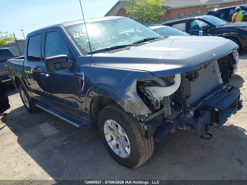 2025 FORD F-150 XLT
