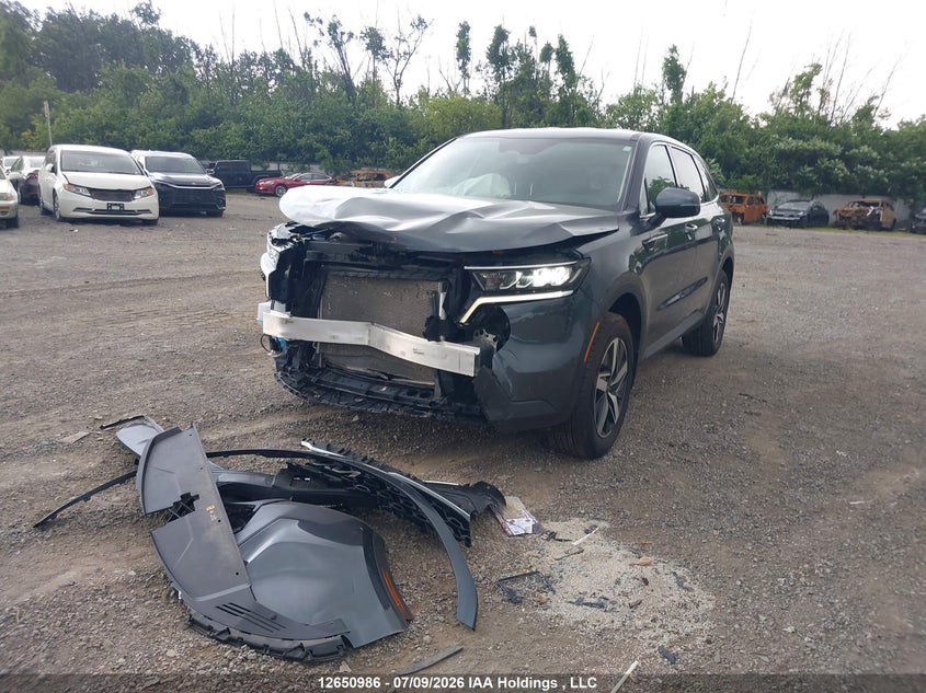 2022 Kia Sorento 2.5L Lx Premium/2.5L Lx+ VIN: 5XYRGDLC5NG106414 Lot: 12650986