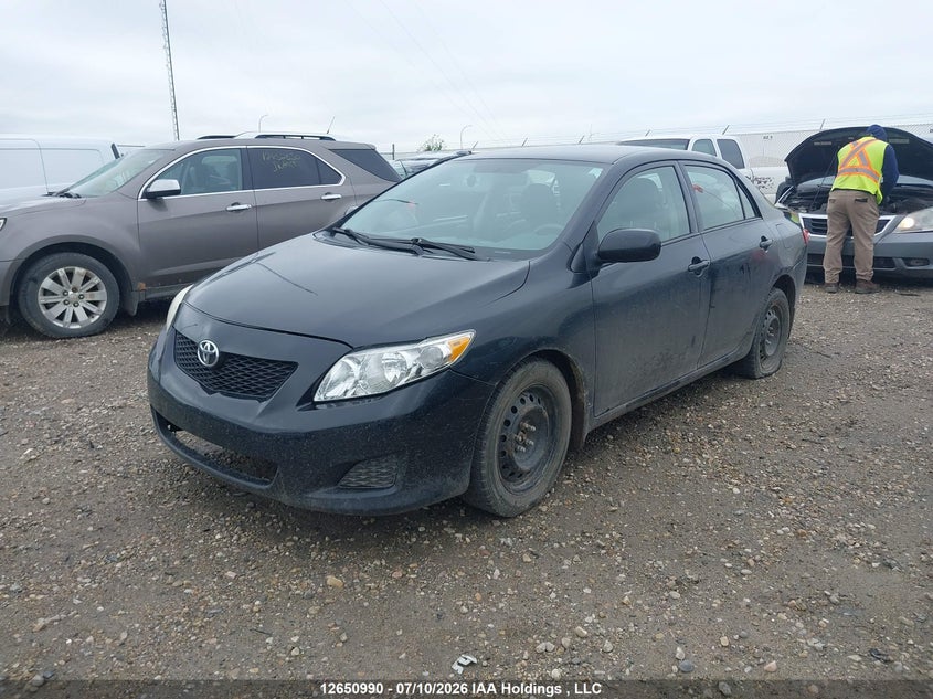 2010 Toyota Corolla, Rear, IAAI, VIN 2T1BU4EE5AC249829 — photo 2