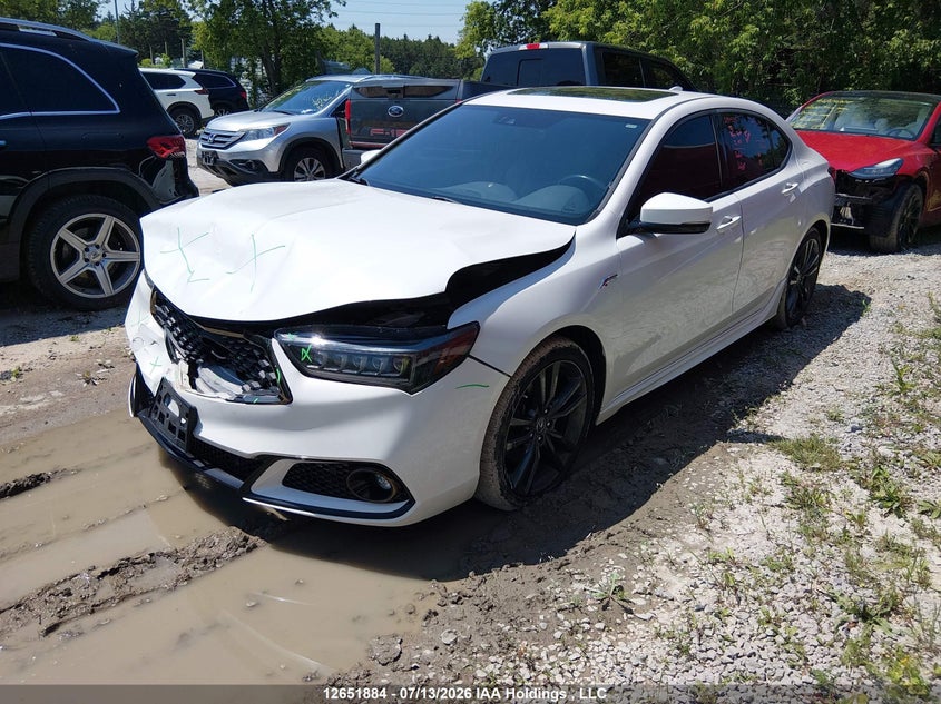 2019 Acura TLX, Удар спереду, IAAI, VIN 19UUB3F67KA802276 — фото 2