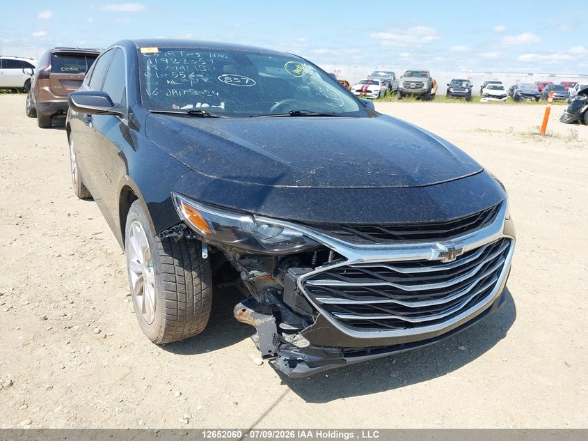 Vin: 1g1zd5st1kf105560, lot: 3053807, chevrolet malibu 2019 img_1