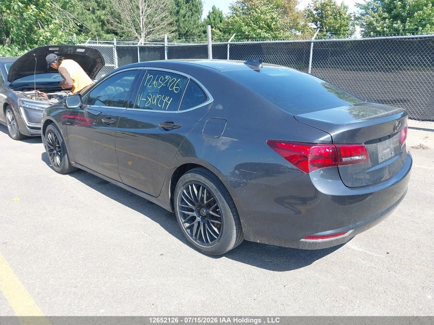 Vin: 19uub3f52ga801244, lot: 3053878, acura tlx tech 20163