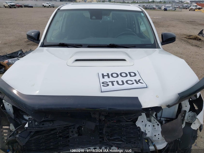 2020 Toyota 4Runner VIN: JTEBU5JR4L5810287 Lot: 12653215