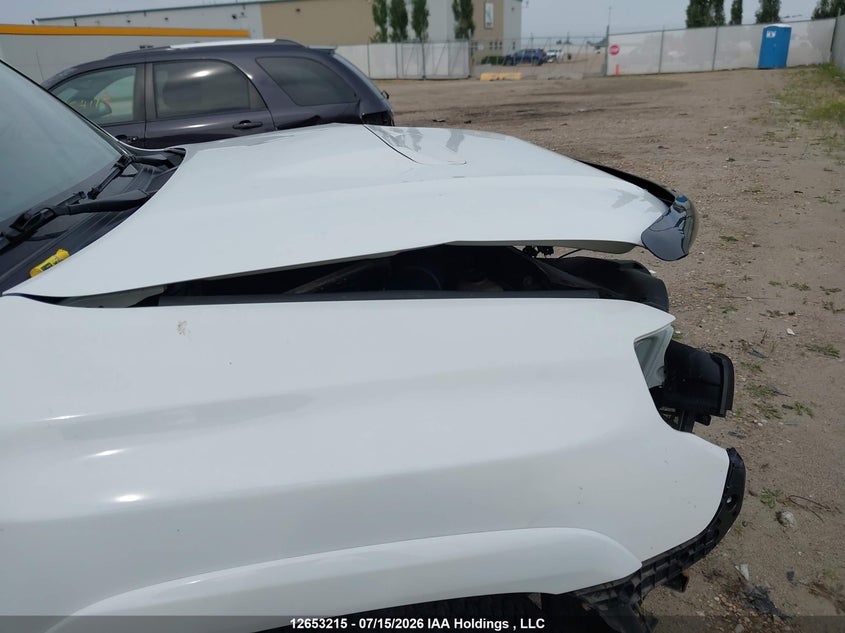 2020 Toyota 4Runner VIN: JTEBU5JR4L5810287 Lot: 12653215