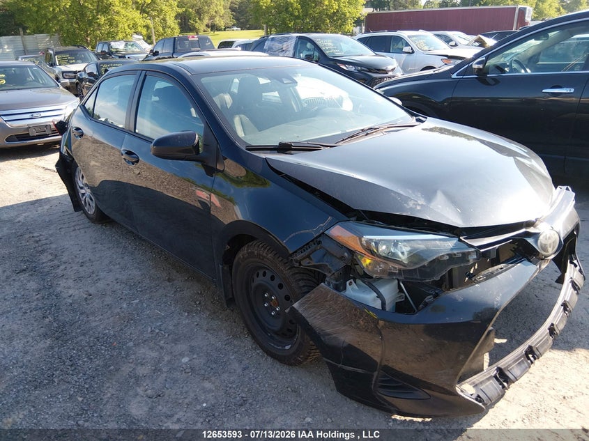 Vin: 2t1burhe6kc194950, lot: 3055459, toyota corolla l/le/xle/se/xse 2019 img_1