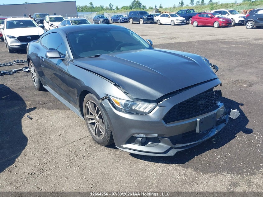 Vin: 1fa6p8th8g5293932, lot: 3056164, ford mustang 2016 img_1