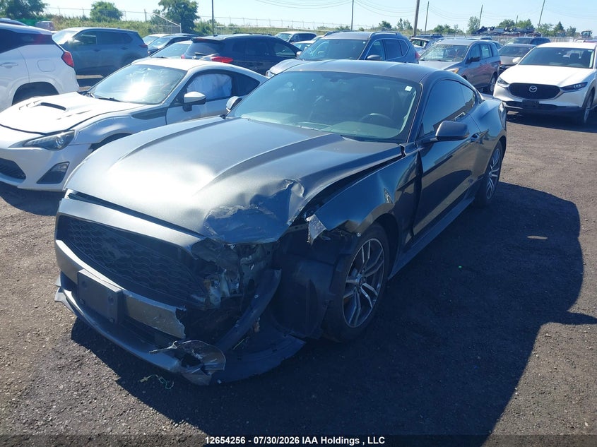 Vin: 1fa6p8th8g5293932, lot: 3056164, ford mustang 20162