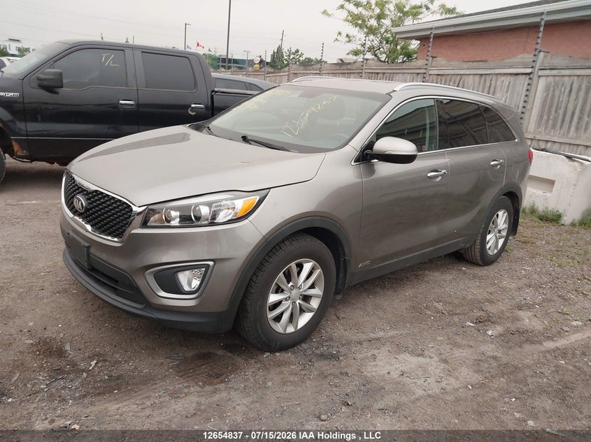 2016 Kia Sorento, Right Side, IAAI, VIN 5XYPGDA54GG186397 — photo 2