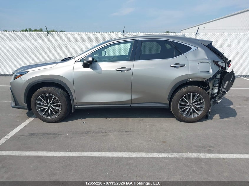 2024 Lexus Nx 350 VIN: 2T2GGCEZ1RC057843 Lot: 12655228