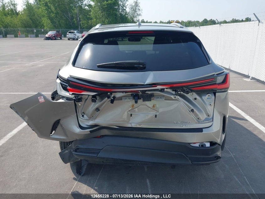 2024 Lexus Nx 350 VIN: 2T2GGCEZ1RC057843 Lot: 12655228