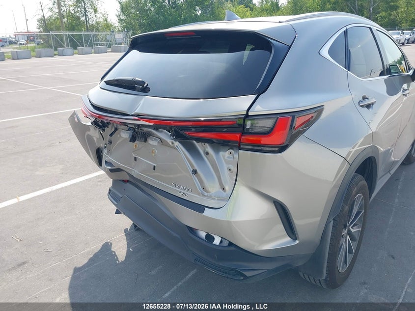 2024 Lexus Nx 350 VIN: 2T2GGCEZ1RC057843 Lot: 12655228