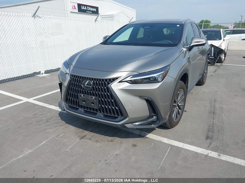 2024 Lexus Nx 350 VIN: 2T2GGCEZ1RC057843 Lot: 12655228