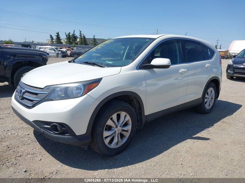 2014 Honda CR-V, Удар ззаду, IAAI, VIN 2HKRM4H55EH107607 — фото 2
