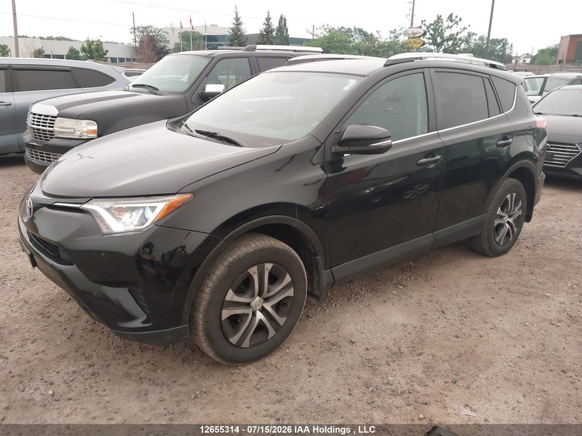 2016 Toyota RAV 4, Удар ззаду, IAAI, VIN 2T3ZFREV3GW237473 — фото 2
