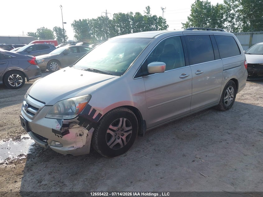 2005 Honda Odyssey Touring VIN: 5FNRL38815B504415 Lot: 12655422