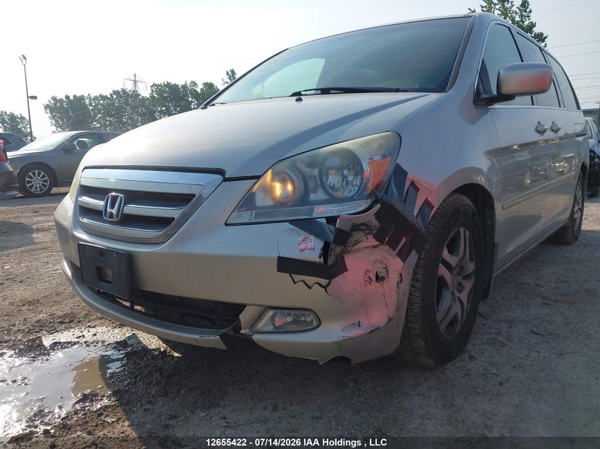 2005 Honda Odyssey Touring VIN: 5FNRL38815B504415 Lot: 12655422
