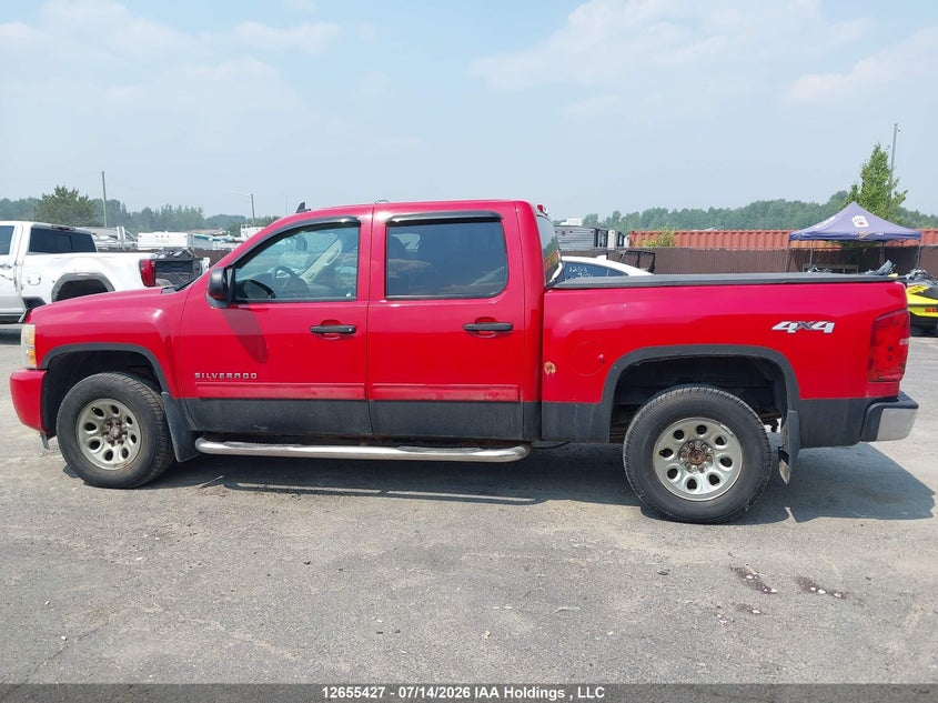 2010 Chevrolet Silverado 1500 VIN: 3GCRKREA2AG141379 Lot: 12655427