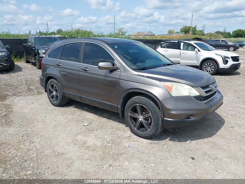 Vin: 5j6re4h76al809546, lot: 3057567, honda cr-v ex-l 2010 img_1