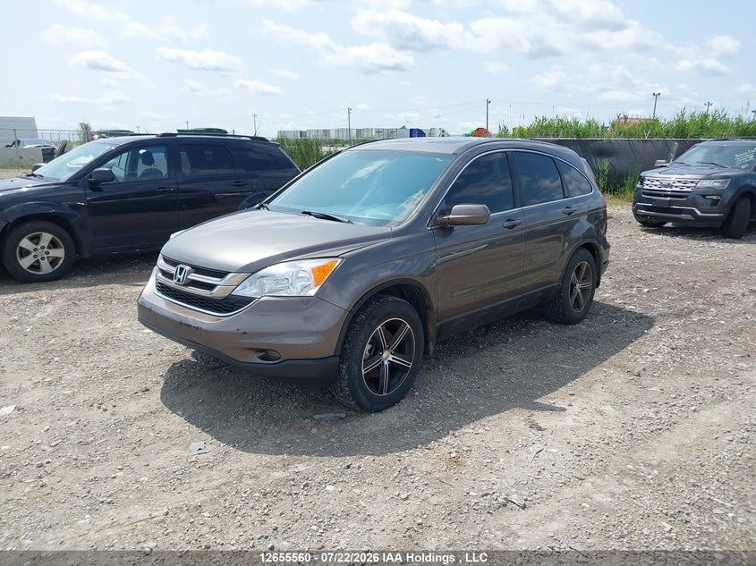 2010 Honda CR-V, Удар ззаду, IAAI, VIN 5J6RE4H76AL809546 — фото 2