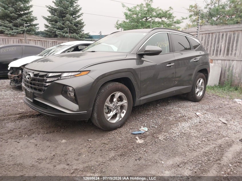 Vin: km8jbcde3ru337768, lot: 3057631, hyundai tucson 20242