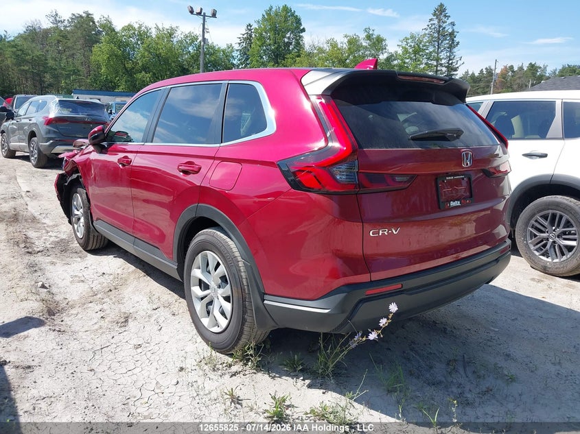 Vin: 2hkrs4h2xth110625, lot: 3057838, honda cr-v lx 20263