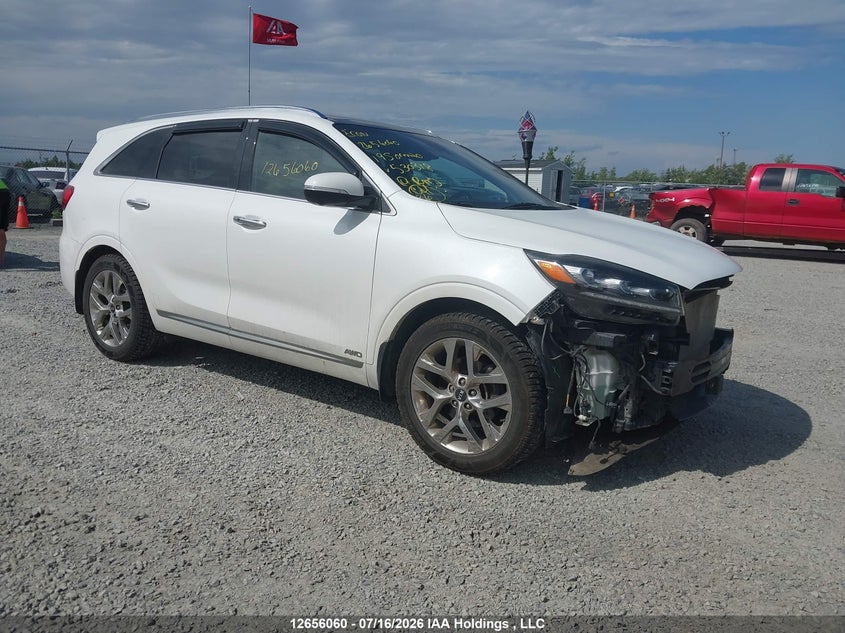 2019 Kia Sorento 3.3L Sx/3.3L Sxl VIN: 5XYPKDA56KG530318 Lot: 12656060