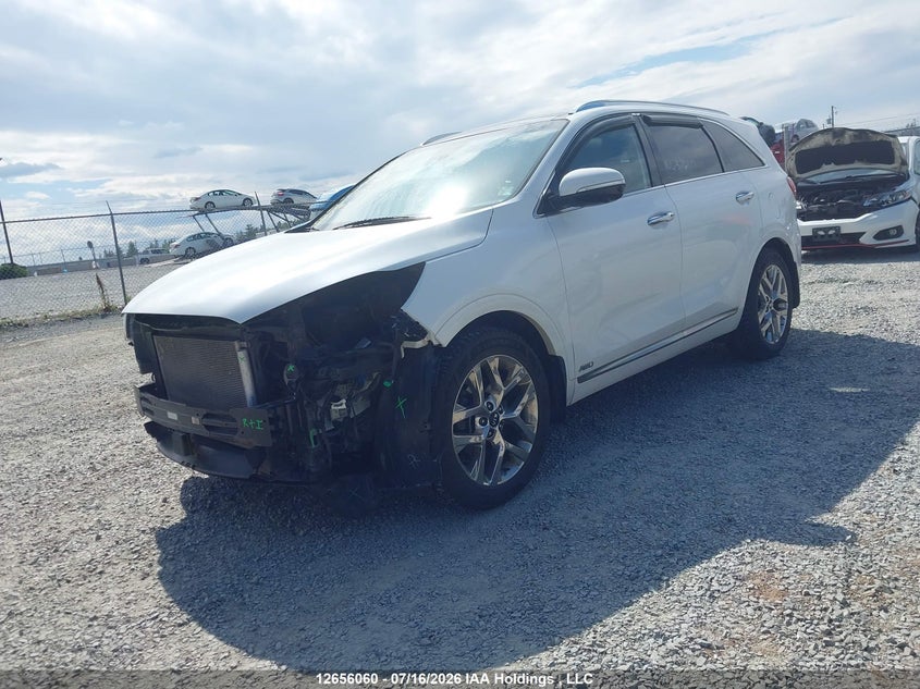 2019 Kia Sorento 3.3L Sx/3.3L Sxl VIN: 5XYPKDA56KG530318 Lot: 12656060