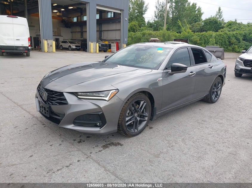 Vin: 19uub6f53ra800091, lot: 3058642, acura tlx a-spec 20242