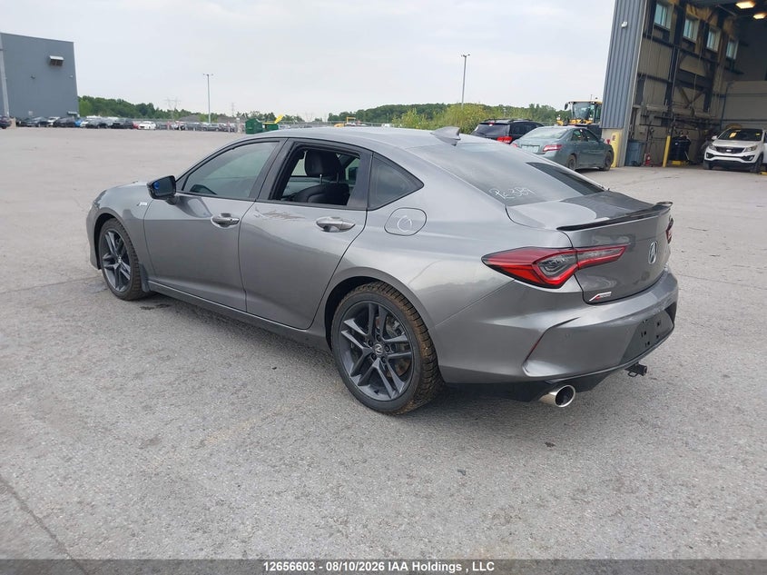 Vin: 19uub6f53ra800091, lot: 3058642, acura tlx a-spec 20243