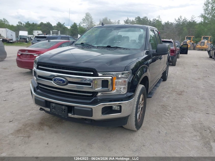 2019 Ford F-150, Rear, IAAI, VIN 1FTFX1E48KKD78372 — photo 2