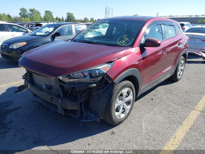 Vin: km8j23a43gu172703, lot: 3058727, hyundai tucson 20162