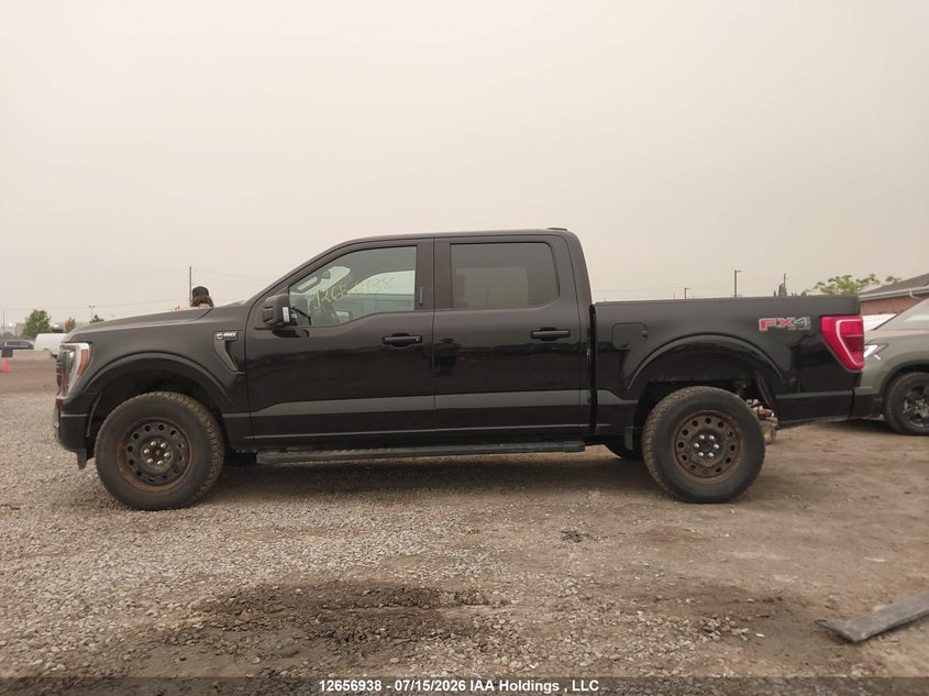 2023 Ford F-150 Lariat/Xl/Xlt VIN: 1FTEW1EPXPKF52085 Lot: 12656938