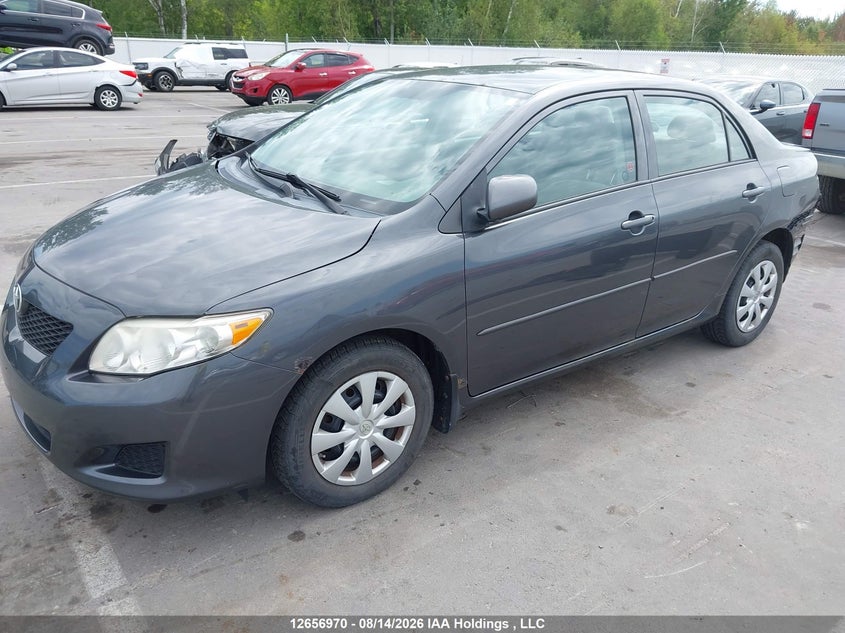 2010 Toyota Corolla, Удар сзади, IAAI, VIN 2T1BU4EE6AC268938 — фото 2
