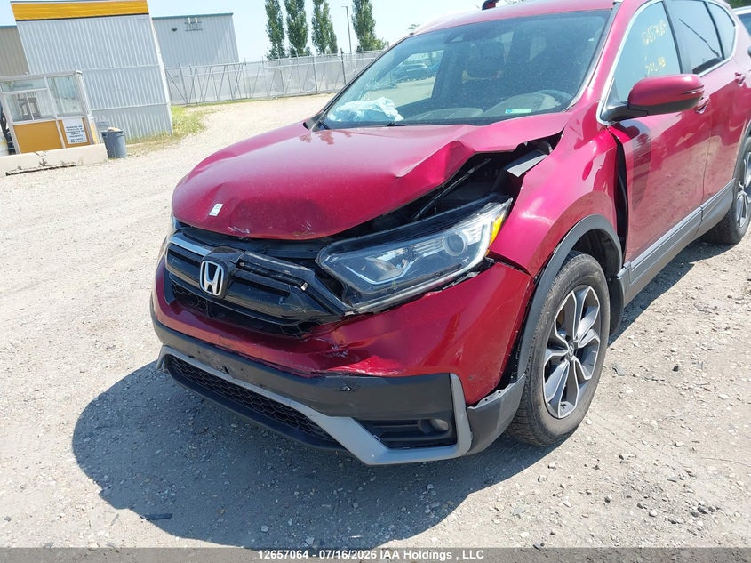 2021 Honda Cr-V Ex-L VIN: 2HKRW2H83MH232807 Lot: 12657064