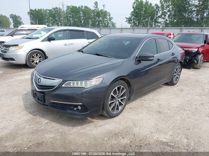 2015 Acura TLX, Rear, IAAI, VIN 19UUB2F71FA800662 — photo 2